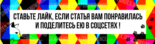 Вы наверняка знаете, о каком "смешном кошачьем лице" идет речь. Это такая ухмылка, которая, кажется, говорит что-то вроде: "Боже мой, это отвратительно!" или "Что ты мне только что сказала?!-4