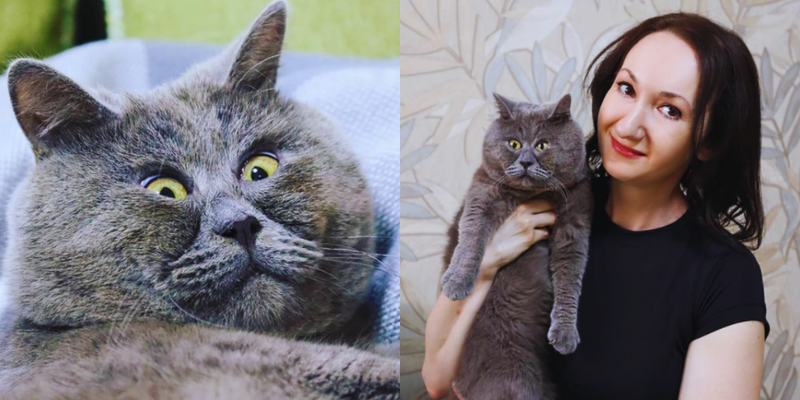 В Ростове живет милый котик, который привлекает внимание своей интересной внешностью.