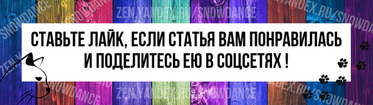 Я люблю всех кошек. Но огромный царственный мейн-кун  - это что-то! Эти усы... и роскошная шерсть... легко заставят любителей кошек охать и ахать.-9