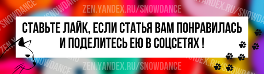 Думаю, многие из нас любят рыжих котов. Еще со времен кота Гарфилда рыжие полосатые коты оставили особый отпечаток лап на сердцах многих любителей кошек по всему миру.-13